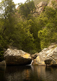 tranquil pool