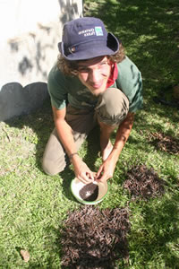 Seed sorting